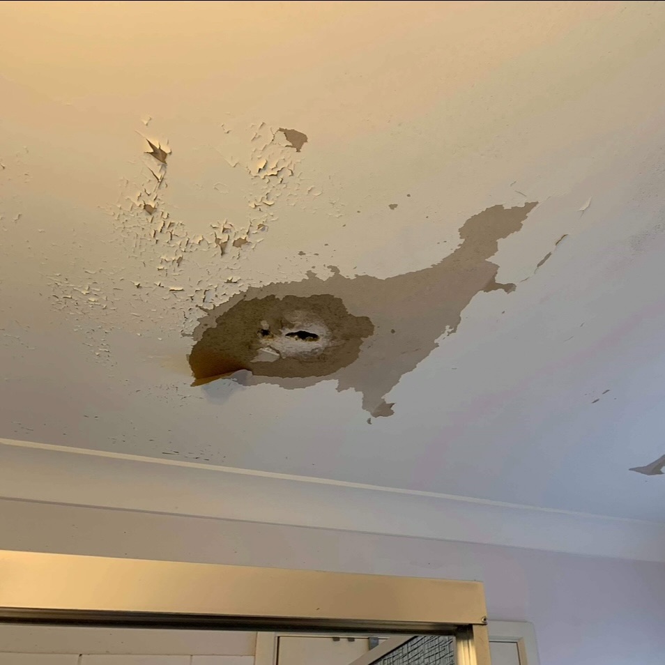 Before - Water damaged ceiling Toowoomba rental property